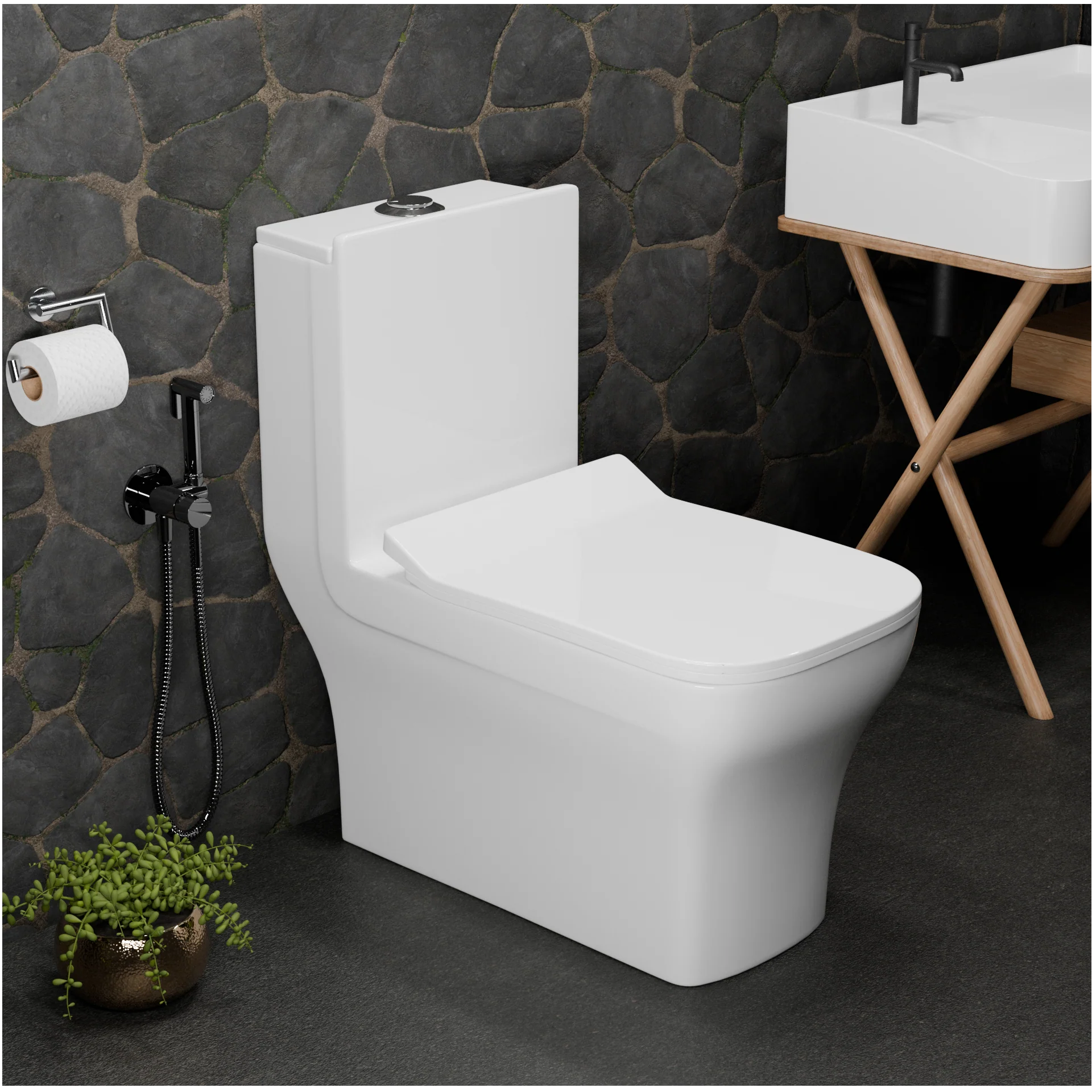 Western Water Closet